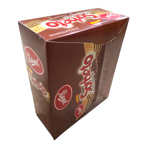 [9569] GALLETA PASCUAL SORBETO DE CHOCOLATE 1116G /36U